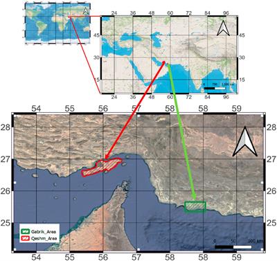 Can land-use and land-cover change explain reduced resilience in forests?